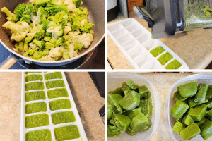 making baby food at home