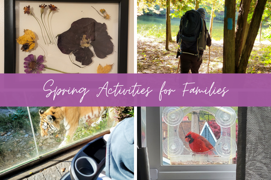 spring activities for families