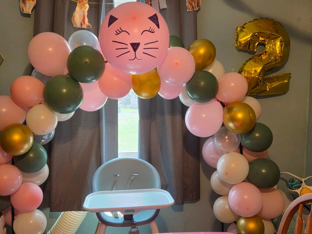 cat themed birthday party
