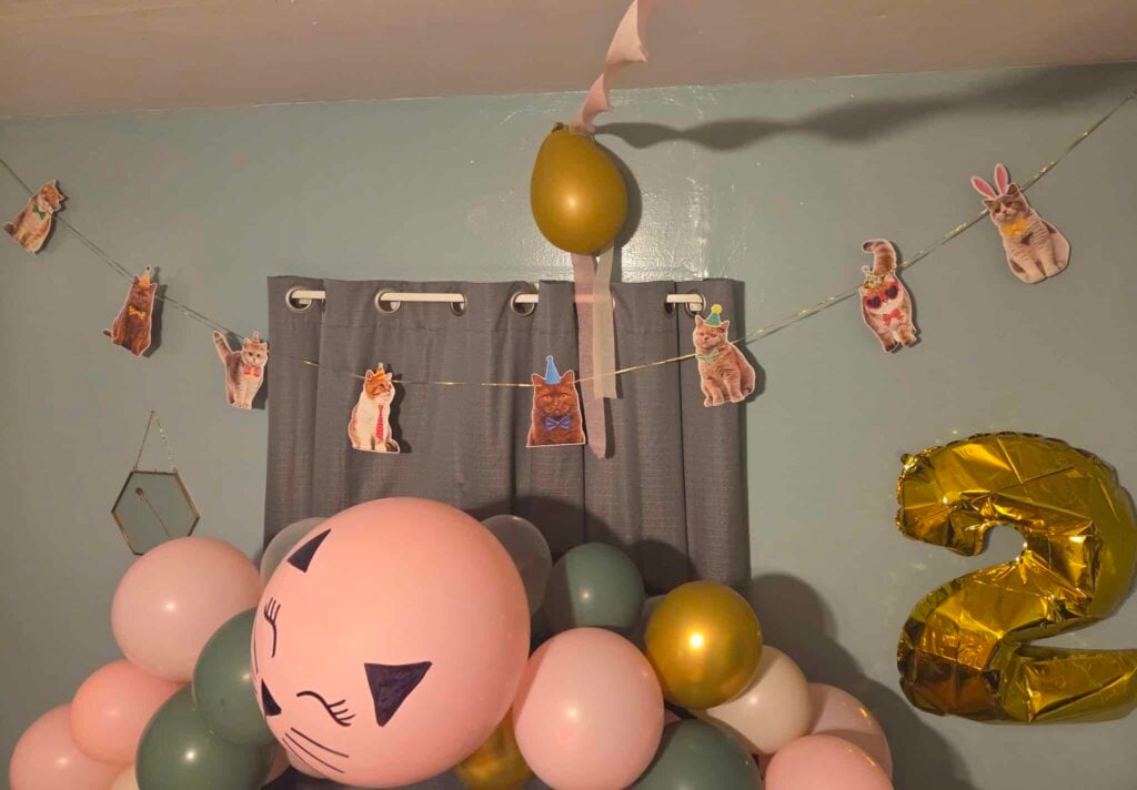 cat themed birthday party