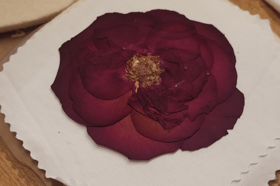 best summer toys for toddlers