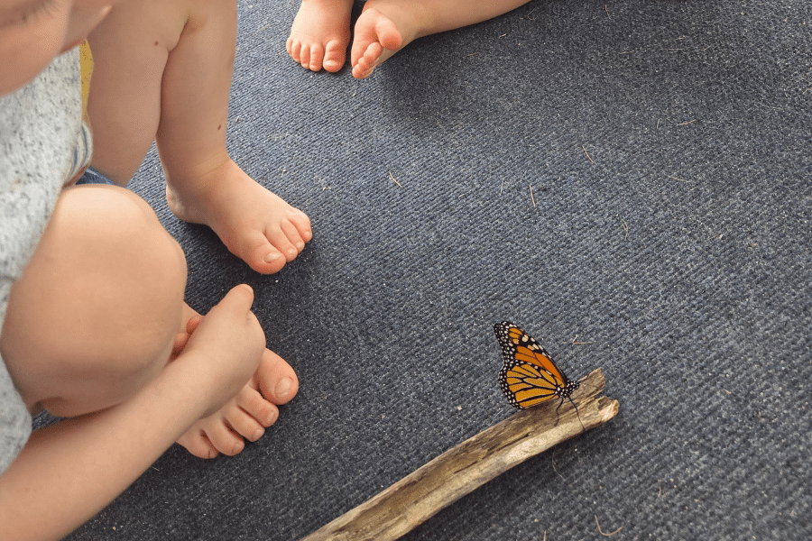 summer toys for toddlers